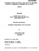 Moniteur des Ventes : stratégie d’organisation vers ses clients.