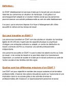 ESAT / établissement et services d’aide par le travail : Présentation