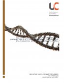 Clonage d'un fragment DBD du gène RFX3 dans un plasmide puc19
