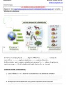 Les échelle de la biodiversité / Exercice