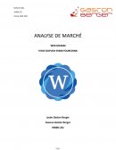 Analyse de marché : Web maniac