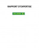 Rapport d'expertise