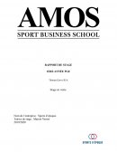 Rapport de stage vente AMOS