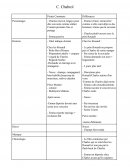 Mme Bovary adaptation