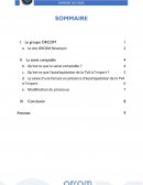 Rapport de stage / ORCOM