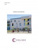 Rapport de stage en EHPAD