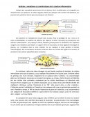 Activité des cellules : symptômes et caractéristiques de la réaction inflammatoire