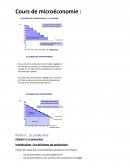 Microénomie : la production