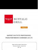 Rapport / Présentation de l'entreprise Buffalo Bill