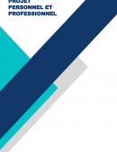 Exemple de dossier Projet Personnel et Professionnel - DUT Technique de Commercialisation