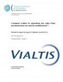 Rapport de stage résumé entreprise vialtis