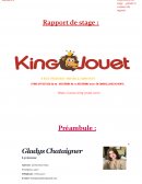 Rapport de stage : King jouet