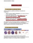 Immunologie - Leucocytes