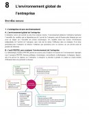 L’environnement global de l’entreprise / PESTEL