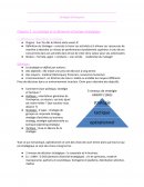 La stratégie et la démarche d’analyse stratégique