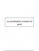Socialisation du sport