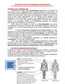 Bilan thermique du corps humain / Comment garder sa chaleur corporelle malgré les fluctuations du milieu ?