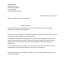 Lettre motivation euro anglais