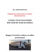 Rapport d’activités réalisées en milieu professionnel / Transports routiers de fret de proximité