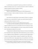 Le contrôle interne