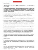 Dossier Méthodologique Tatouage