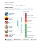 Enseignements SVT : Le son et les dangers liés au son