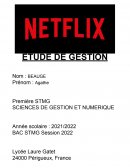 Etude gestion netflix