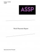 Rapport de stage anglais ASSP