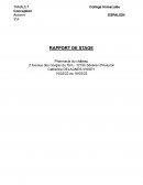 Rapport de stage pharmacie