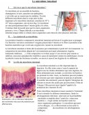 Le microbiote intestinal