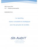 Les fusions / Le reporting, enjeux comptable et stratégique pour les groupes de sociétés