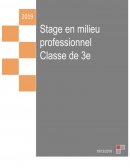 Rapport de stage /: bureau d’études technique spécialisé en géologie, hydrogéologie, hydrologie et hydraulique