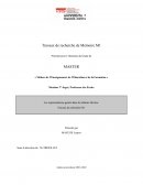 Les représentations genrées dans les albums Martine