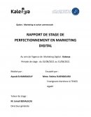 Marketing Digital / Agence de Marketing Digital : Kalenya