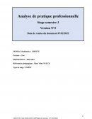 Analyse pratique profesionnelle