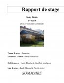 Rapport stage en EHPAD