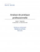 Analyse de pratique professionnelle / Résidence médicalisée
