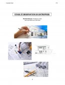 Rapport de stage d'observation chez un architecte