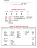 Politique d'entreprise / Chaine de valeurs de Porter