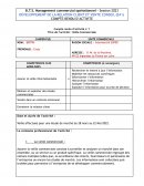 FICHE E41 veille commerciale