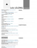Curriculum Vitae exemple