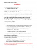 Introduction au droit constitutionnel