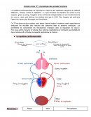 Compte rendu de TP physiologie cardiaque et respiratoire