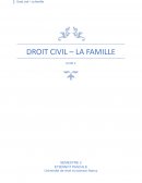 Droit civil : la famille