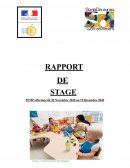 Rapport de stage crêche « Les Provinces »