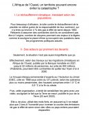 L’Afrique de l’Ouest, un territoire pouvant encore éviter la catastrophe ?