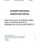 Quel avenir pour la publicité ciblée avec le renforcement de la protection de la vie privée (RGPD)