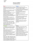 Swot entreprise de l’entreprise (BiotechUSA)