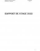 Rapport de stage en phamacie