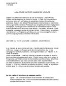 Commentaire de texte de Candide de Voltaire